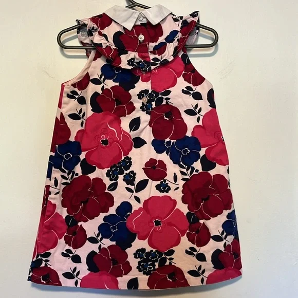 Janie and Jack Pink Floral Dress with White Collar Girls Size 3 - Picture 3 of 5